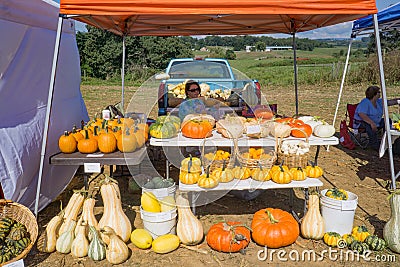 Pumpkin Vendor Editorial Stock Photo